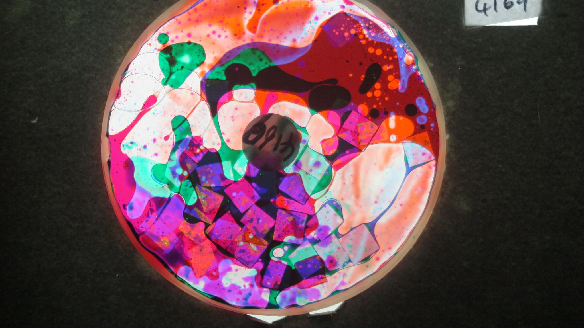 BV4169 bubble vision oil wheel